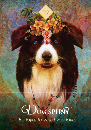 The Spirit Animal Oracle - image 8