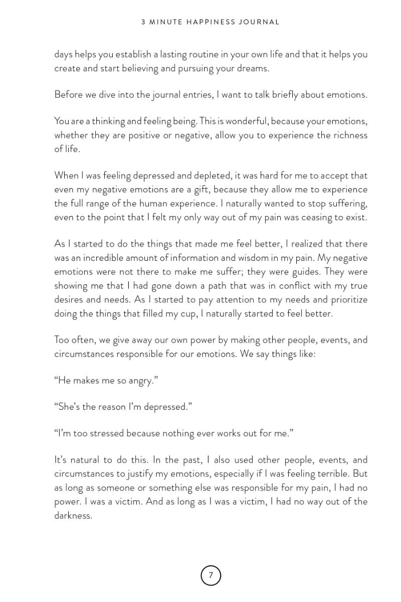 3 Minute Happiness Journal - image 4
