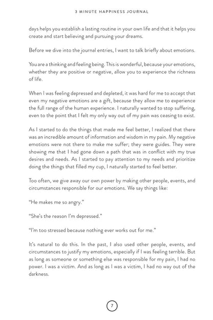 3 Minute Happiness Journal - image 4
