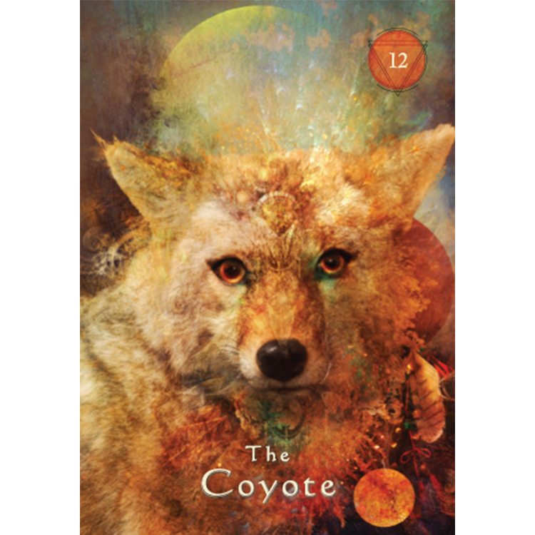 Mystical Shaman Pocket Oracle Cards - image 14
