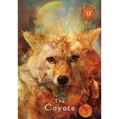 Mystical Shaman Pocket Oracle Cards - image 14