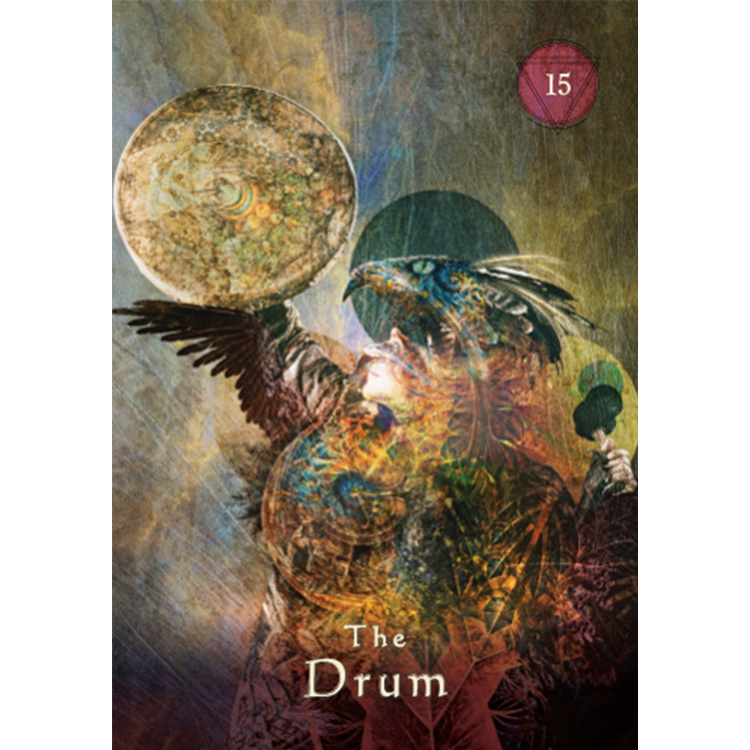 Mystical Shaman Pocket Oracle Cards - image 16