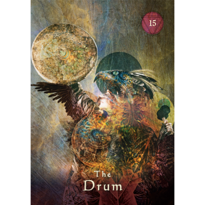 Mystical Shaman Pocket Oracle Cards - image 16