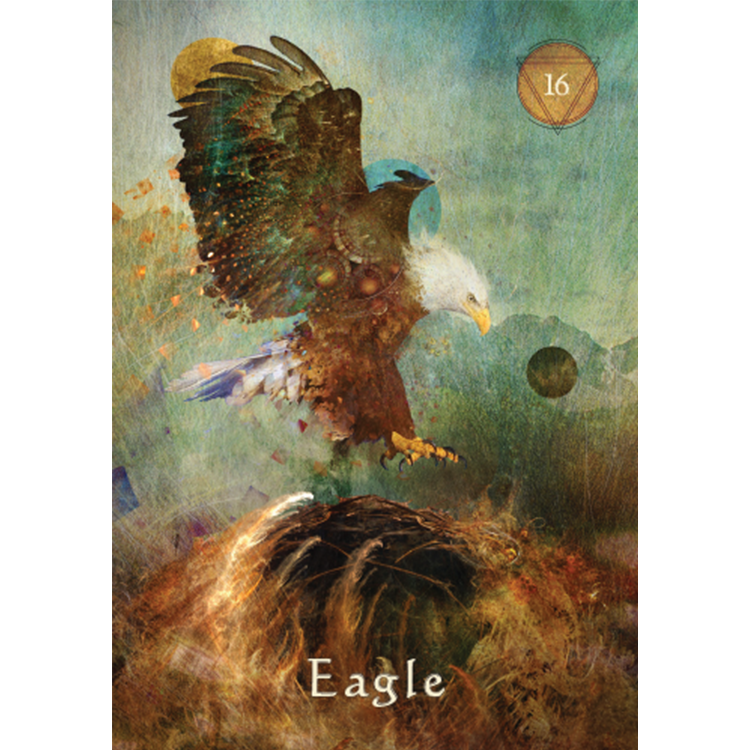 Mystical Shaman Pocket Oracle Cards - image 17