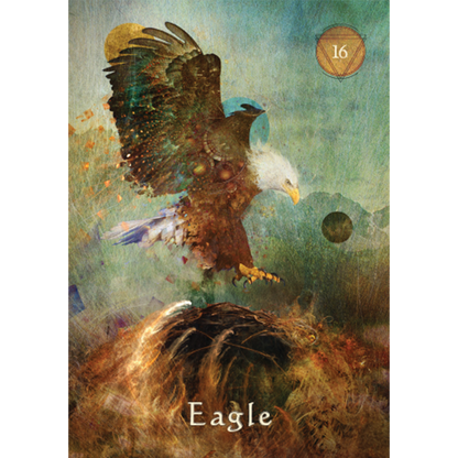 Mystical Shaman Pocket Oracle Cards - image 17