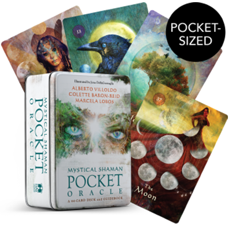 Mystical Shaman Pocket Oracle Cards - image 12