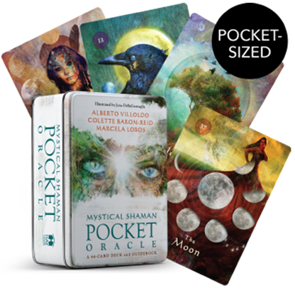 Mystical Shaman Pocket Oracle Cards - image 12