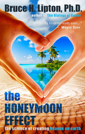 The Honeymoon Effect (Trade Paperback)