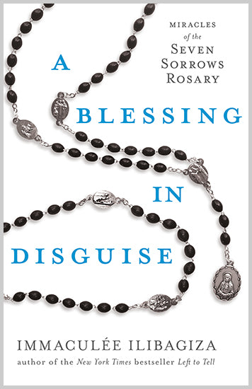 A Blessing in Disguise - image 1