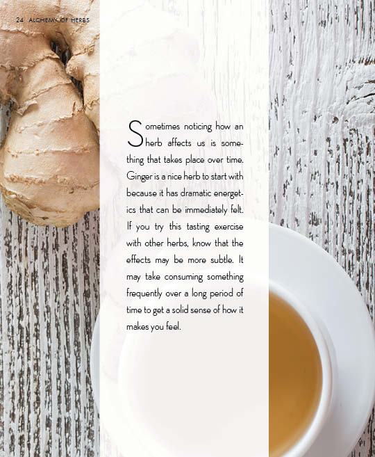 Alchemy of Herbs - image 7