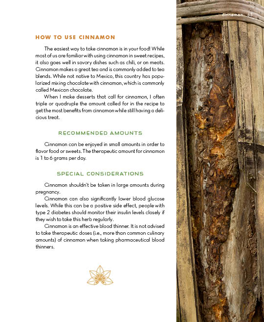 Alchemy of Herbs - image 10
