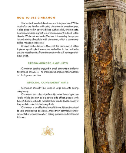 Alchemy of Herbs - image 10