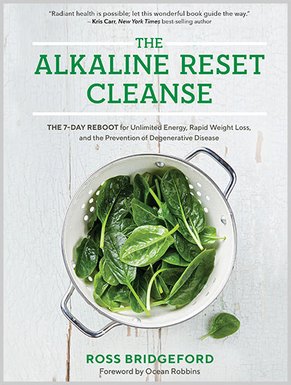 The Alkaline Reset Cleanse - image 1