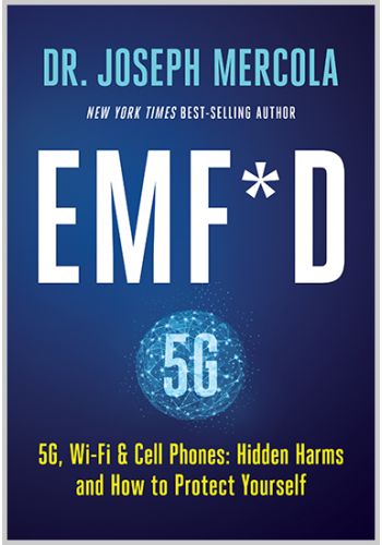 EMF*D - image 1