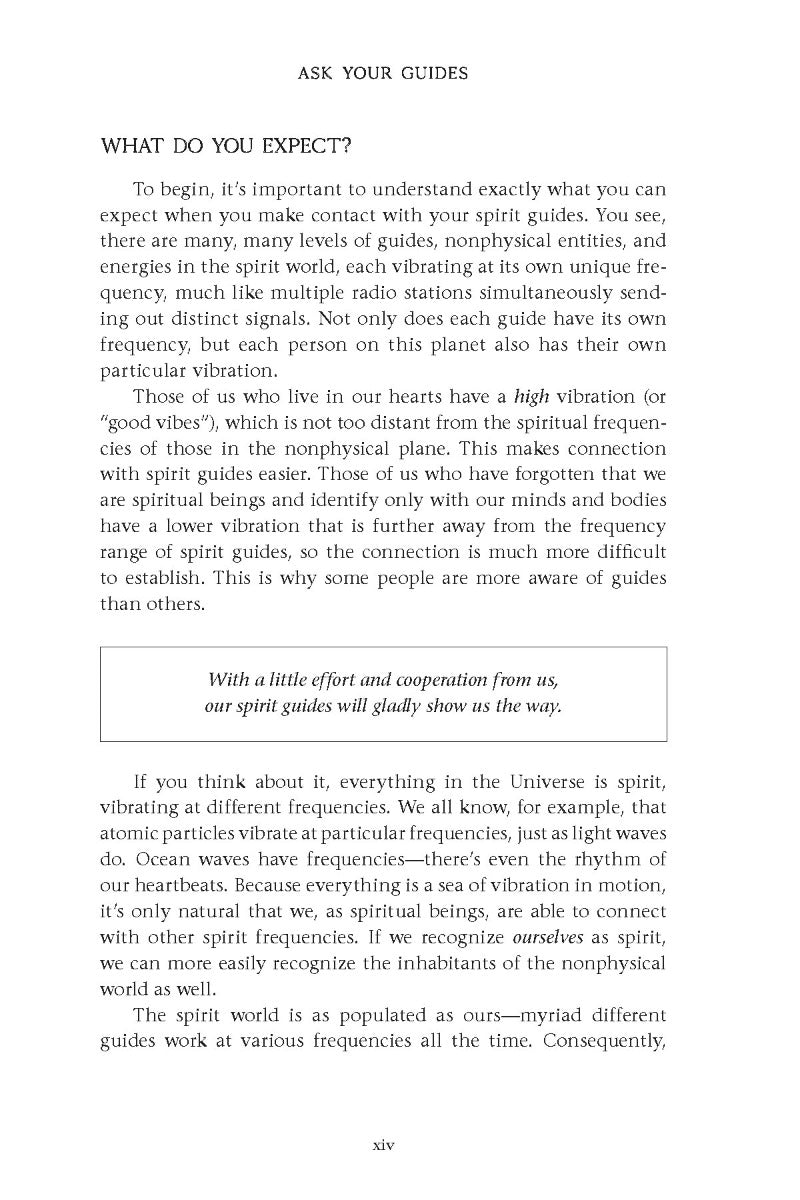 Ask Your Guides - image 11