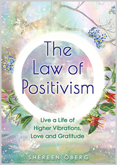 The Law of Positivism - image 1