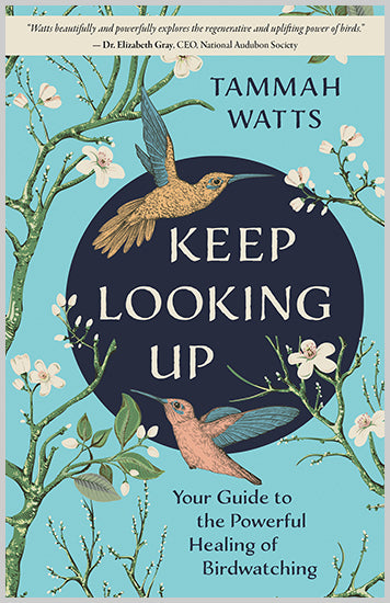 Keep Looking Up - image 1