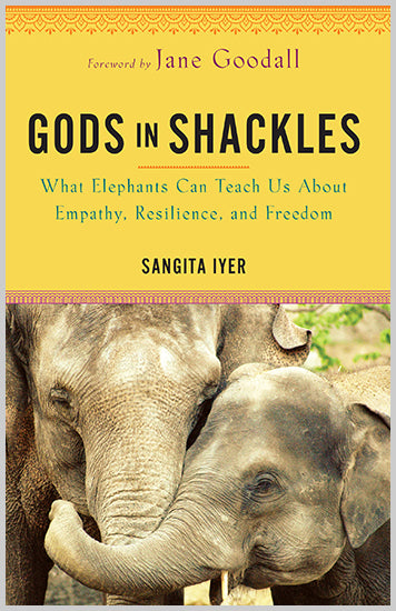 Gods in Shackles Paperback Book