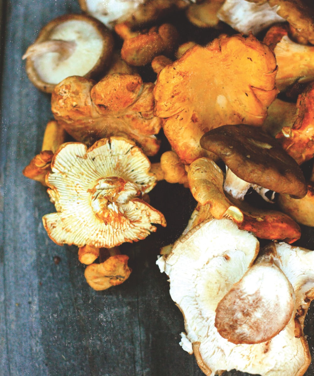 The Sacred Cookbook - image 8