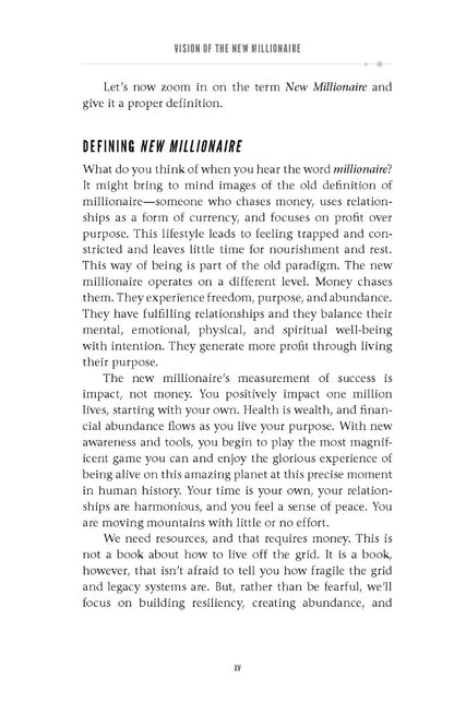 The New Millionaire's Playbook - image 7