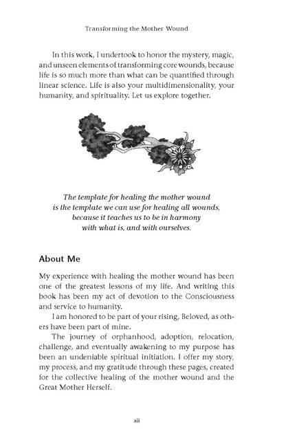 Transforming the Mother Wound - image 10