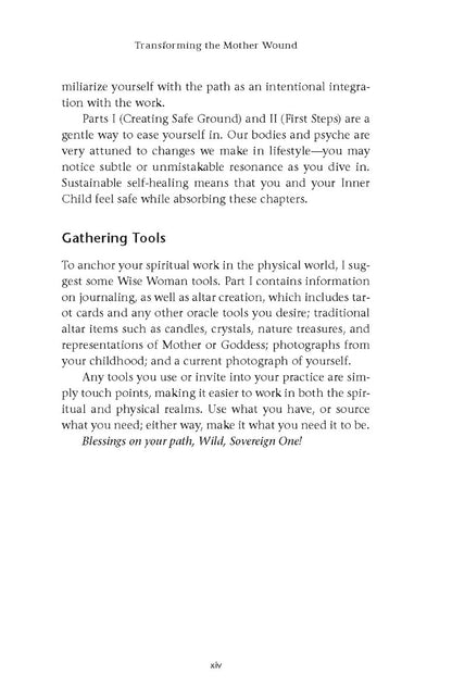 Transforming the Mother Wound - image 8