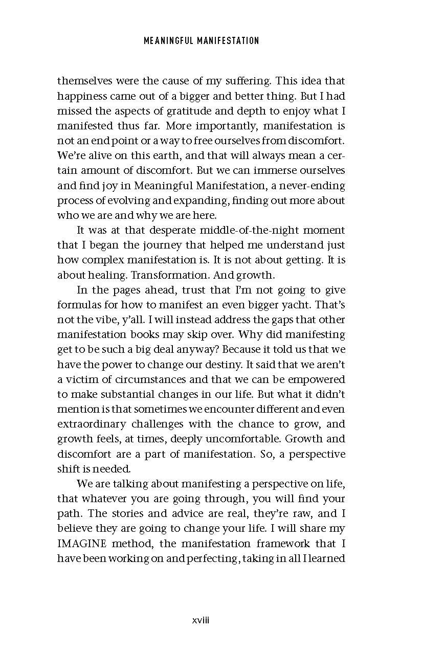 Meaningful Manifestation - image 4