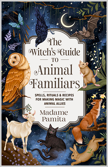 The Witch's Guide to Animal Familiars - image 1