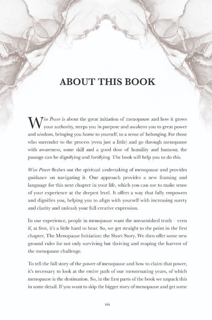 Wise Power - image 4