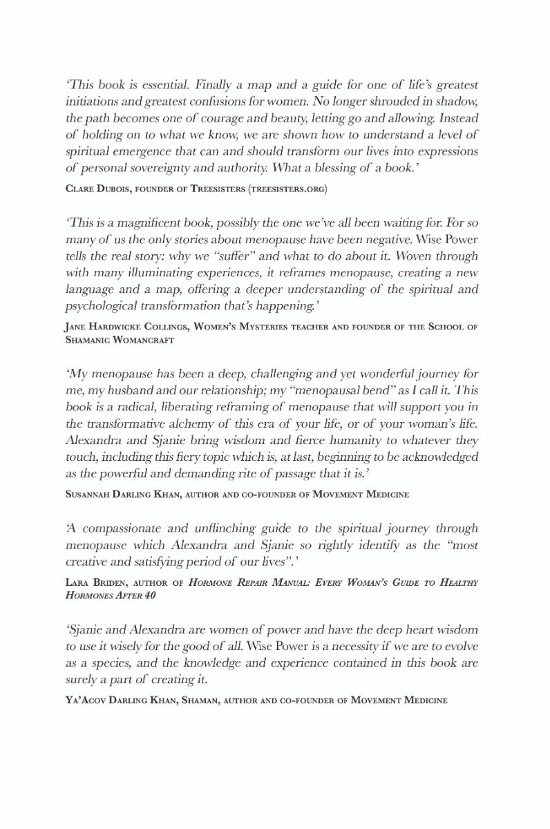 Wise Power - image 3