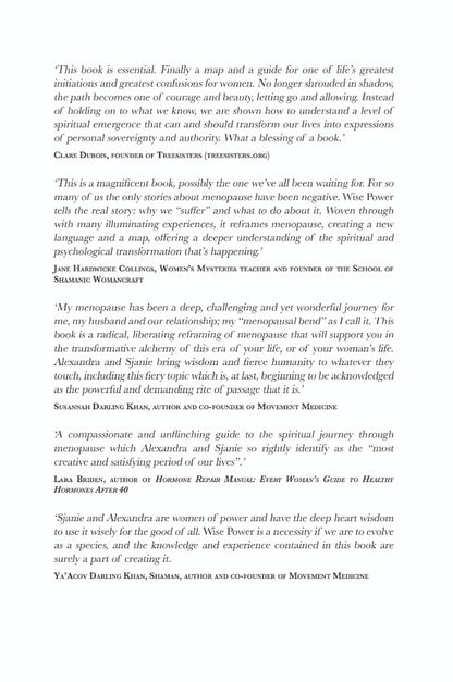 Wise Power - image 3