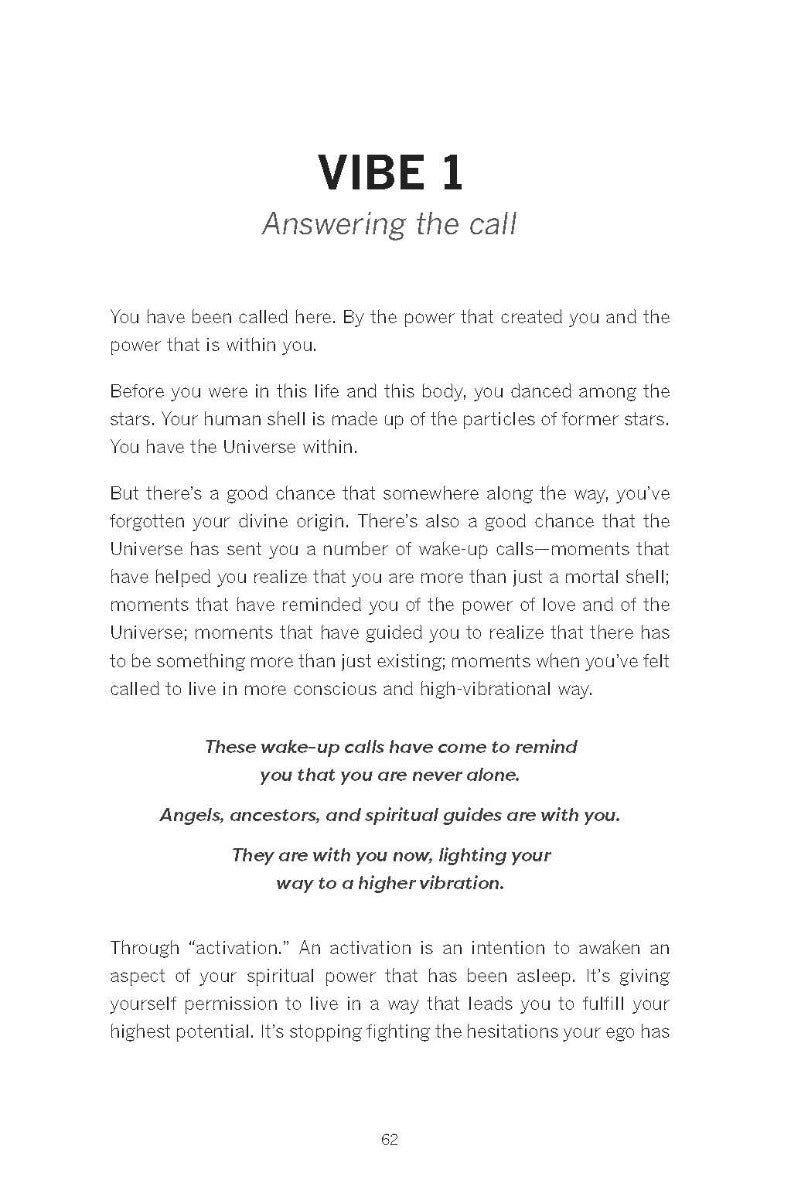 Raise Your Vibration (New Edition) - image 6