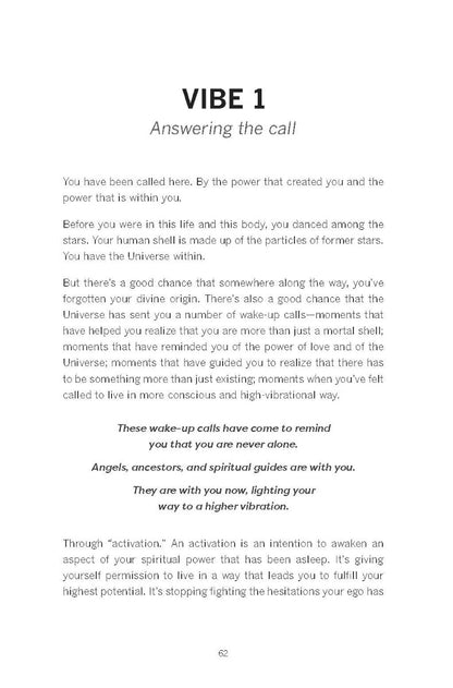 Raise Your Vibration (New Edition) - image 6
