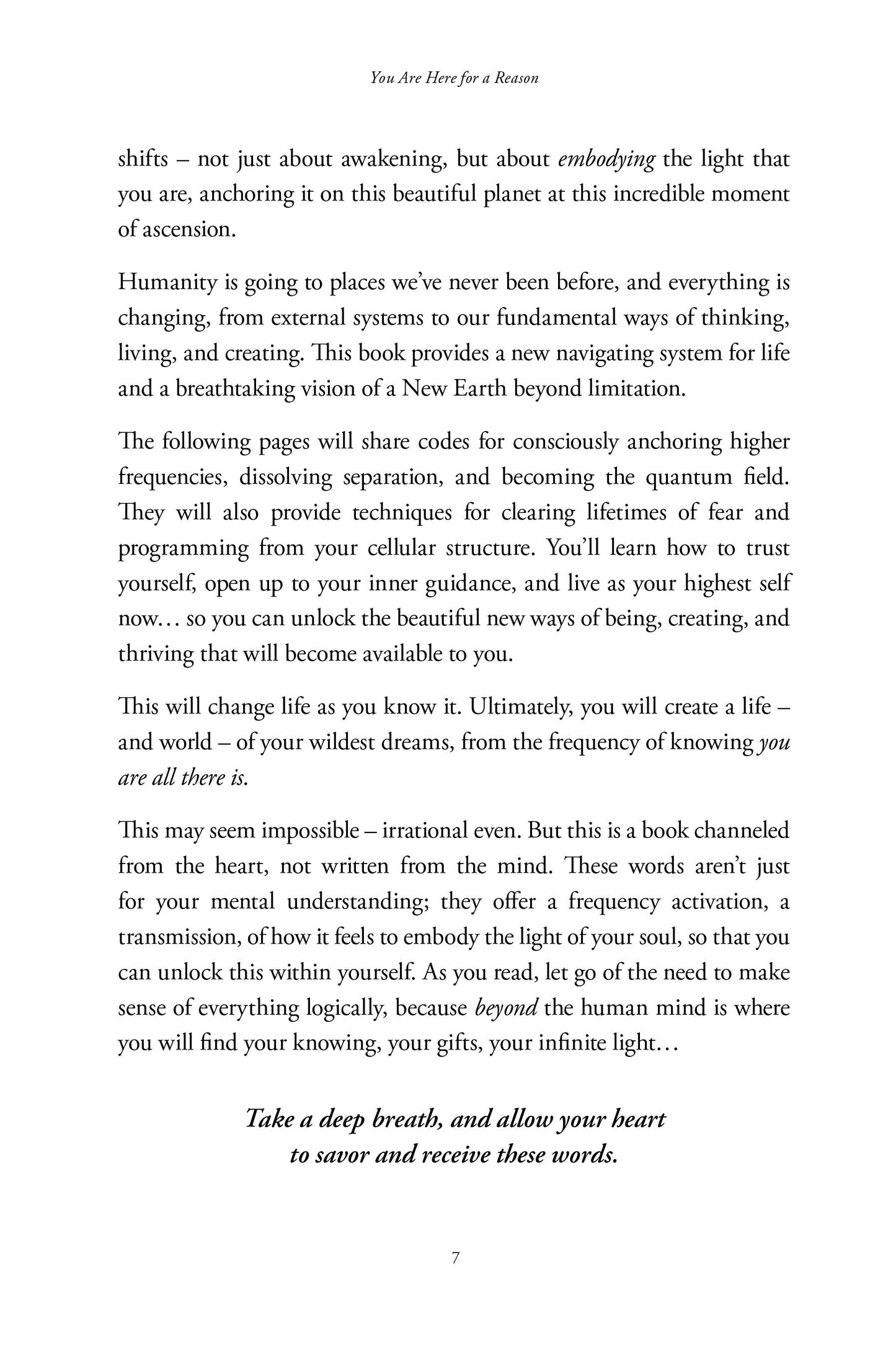 Anchoring the Light - image 7