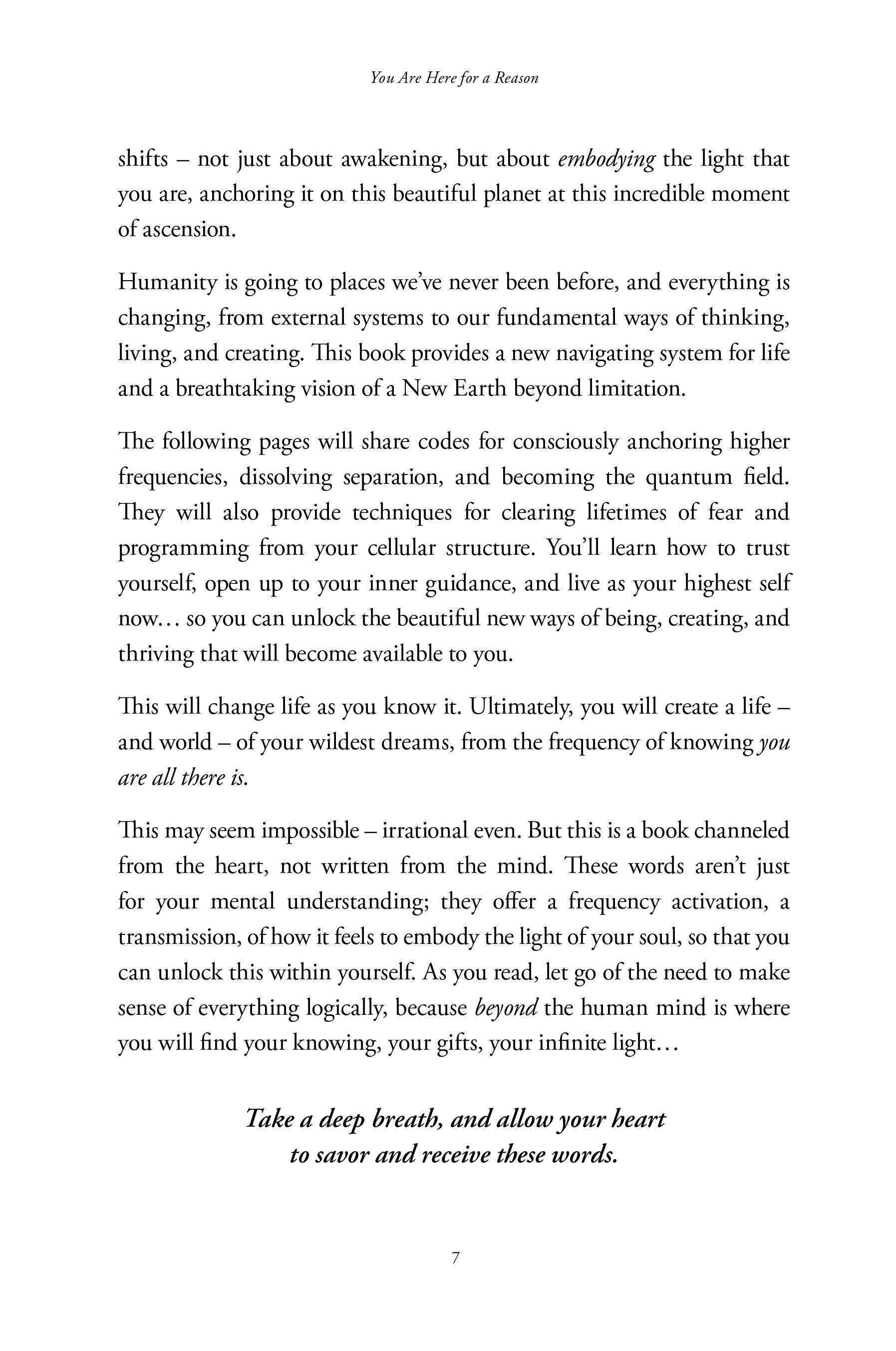 Anchoring the Light - image 7