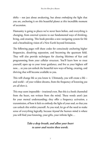 Anchoring the Light - image 7