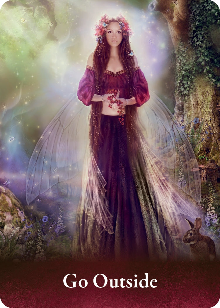 The Pocket Oracle of the Fairies - image 9