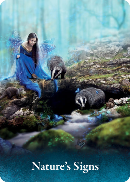The Pocket Oracle of the Fairies - image 8