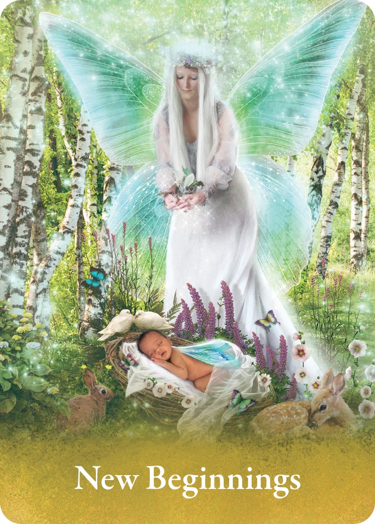 The Pocket Oracle of the Fairies - image 2