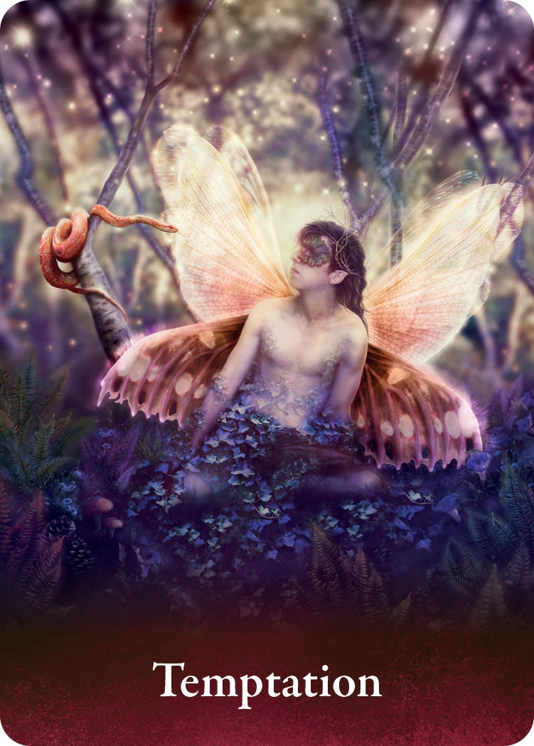 The Pocket Oracle of the Fairies - image 4