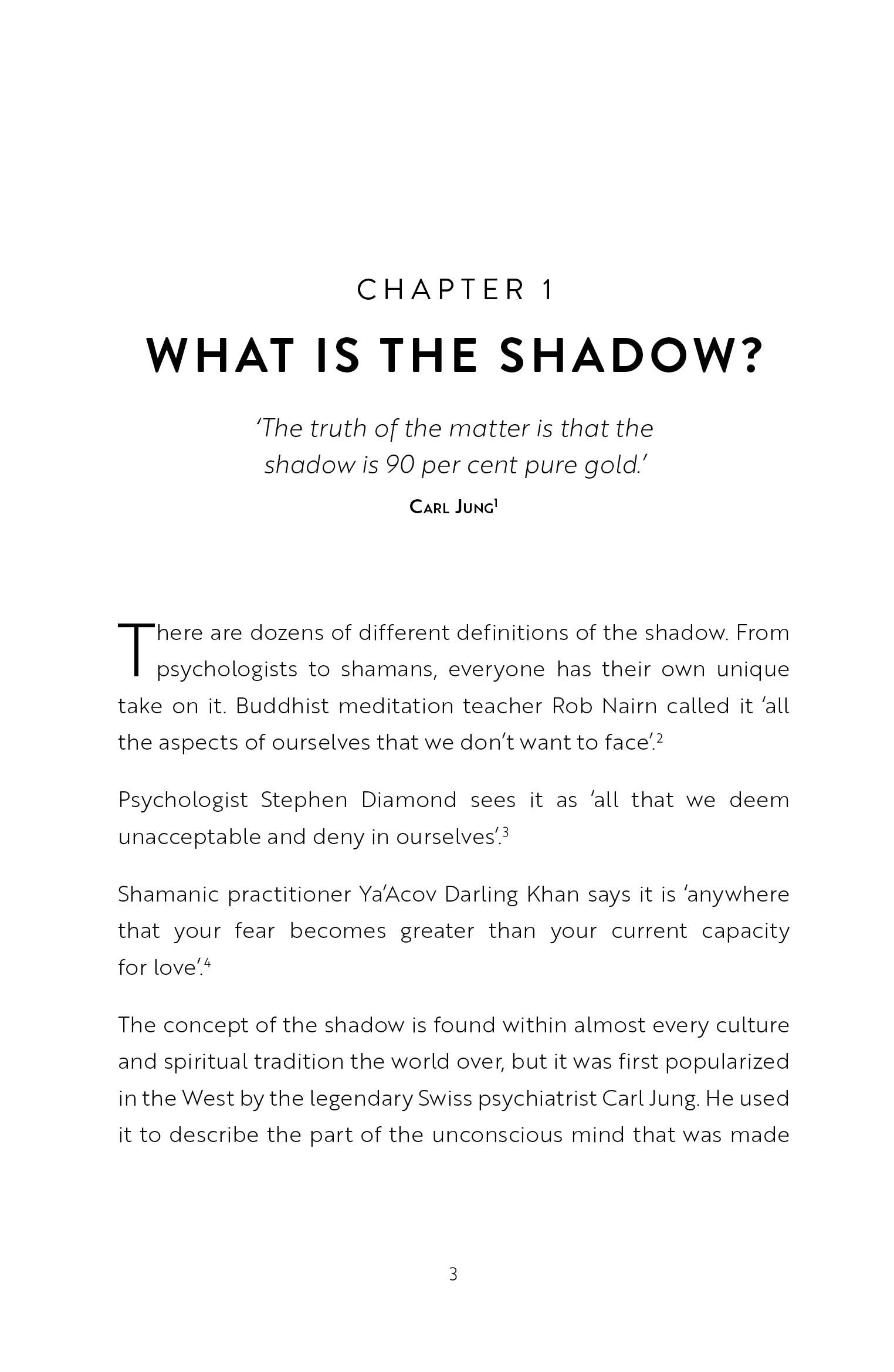 Do the Shadow Work - image 8
