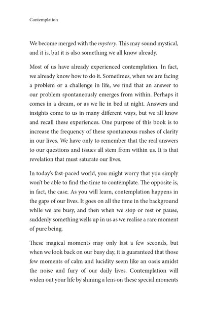 Contemplation - image 7
