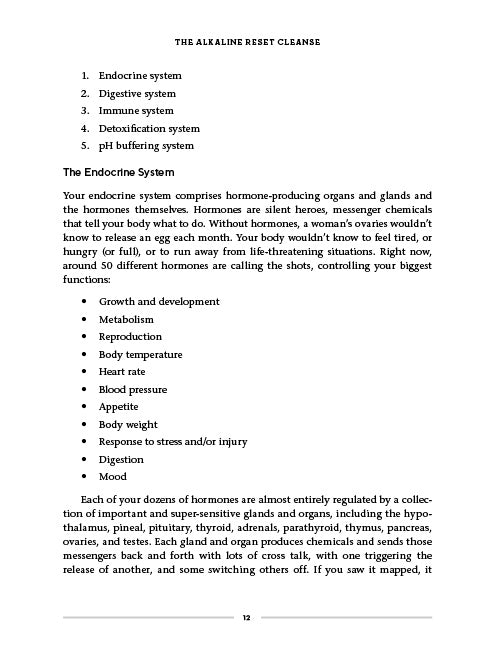 The Alkaline Reset Cleanse - image 10