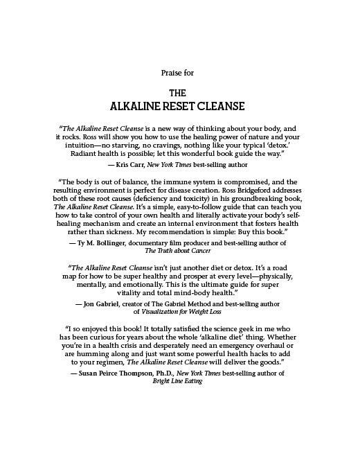 The Alkaline Reset Cleanse - image 2