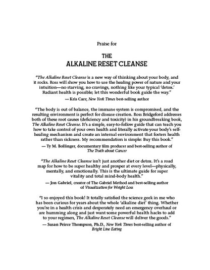 The Alkaline Reset Cleanse - image 2