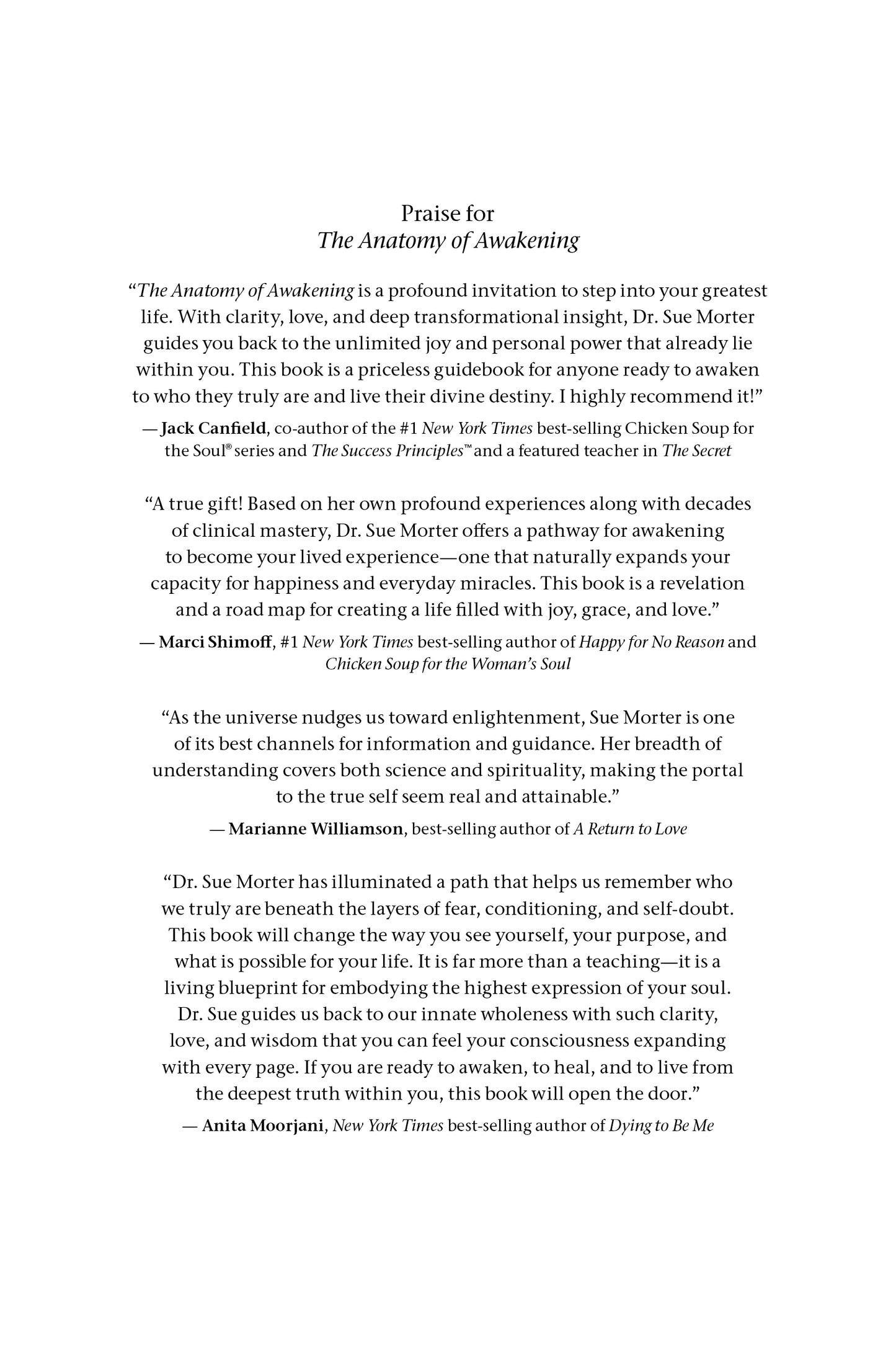 The Anatomy of Awakening - image 7