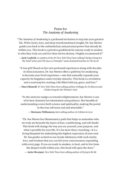 The Anatomy of Awakening - image 7