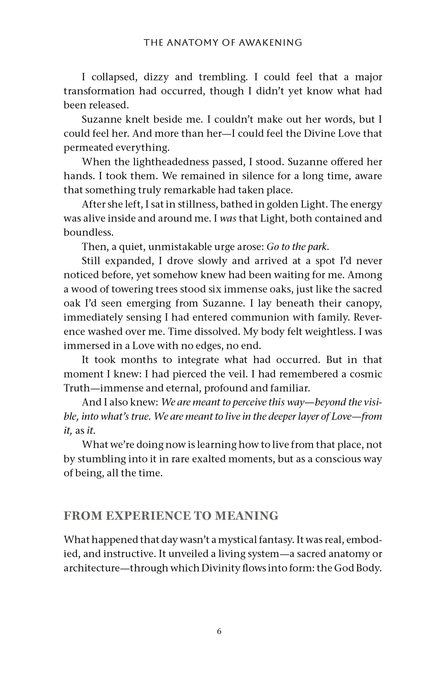 The Anatomy of Awakening - image 3