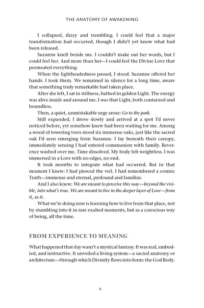 The Anatomy of Awakening - image 3
