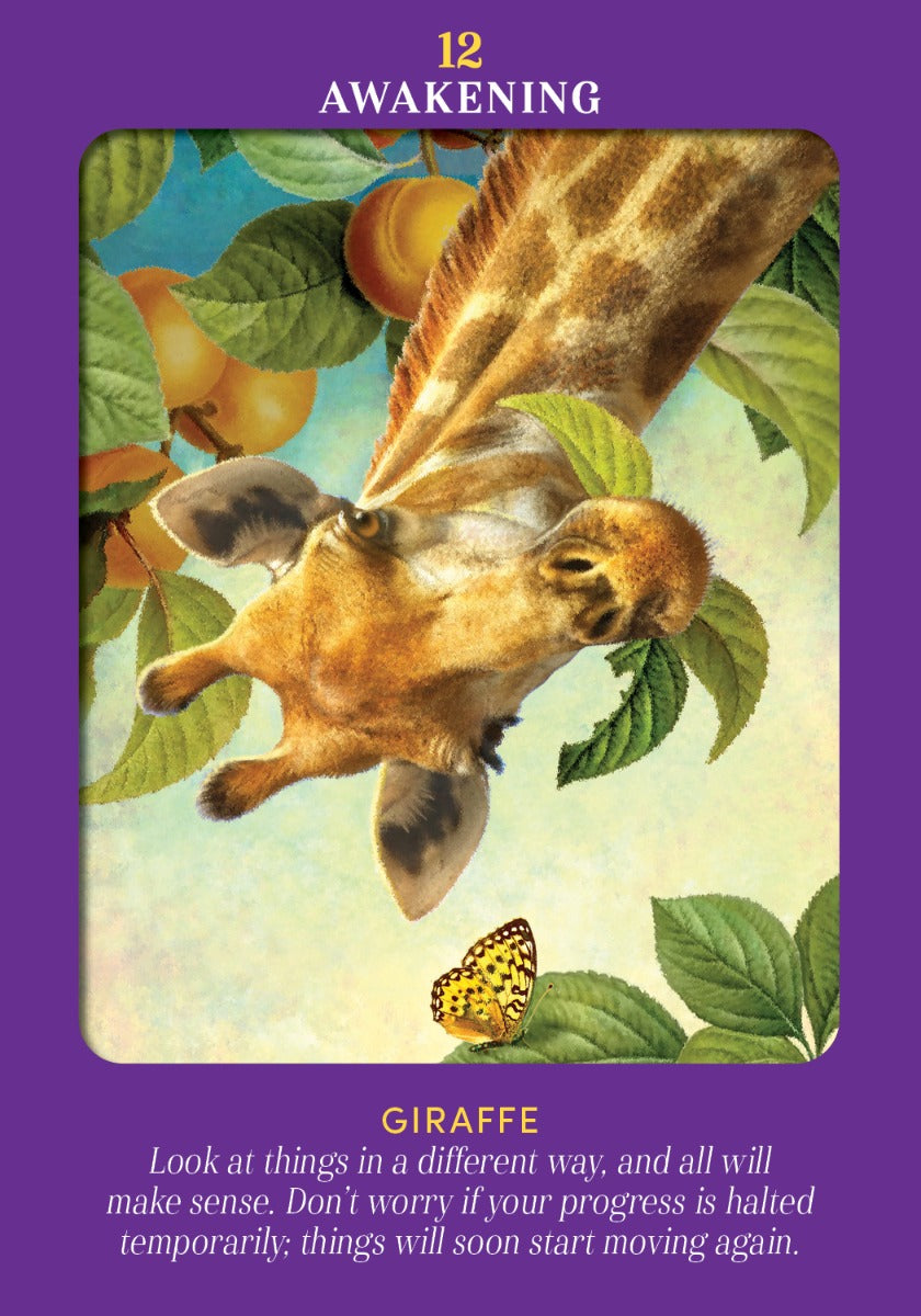 Animal Guides Tarot - image 6